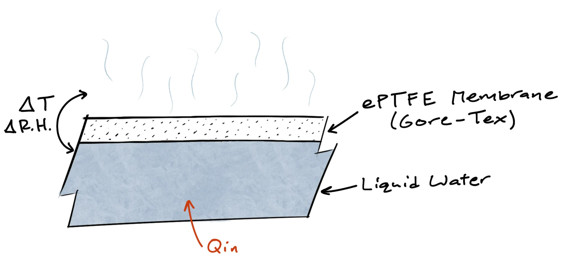 Membrane sketch